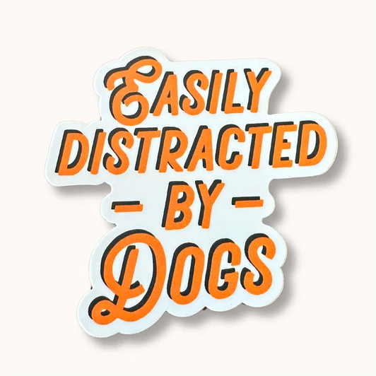 Orange Easily Distracted by Dogs