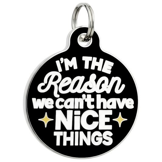 We Can't Have Nice Things - Enamel Pet Tag