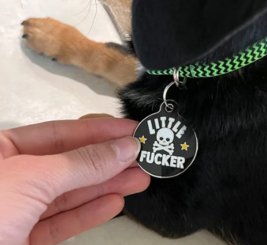funny dog collar inappropriate dog tags