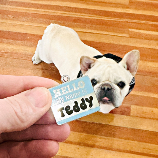 Hello My Name Is Pet ID Tag - Blue