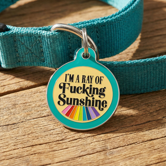 Ray of Sunshine - Enamel Dog Tag *Teal