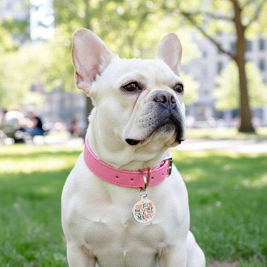 Oh F*ck I'm Lost Call my Mama - Enamel Dog Tag
