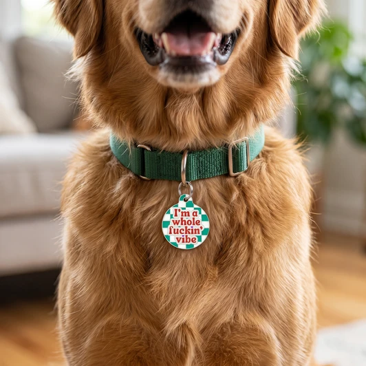 I'm a Whole Fuckin' Vibe - Enamel Dog Tag *RESTOCKED*
