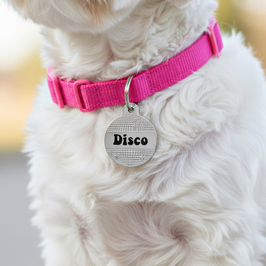 Custom Disco Ball Enamel Dog Name Tag