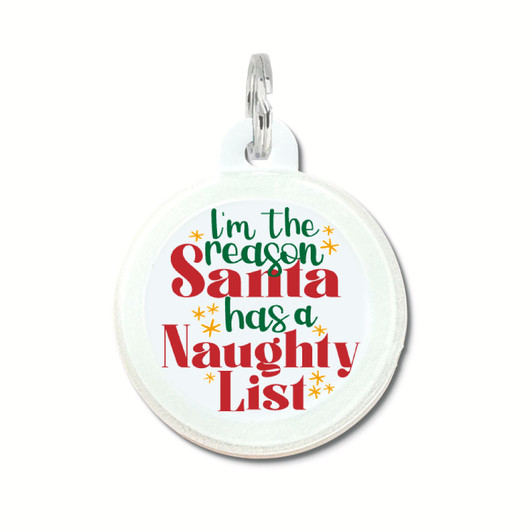 Reason Why Santa has Naughty List - Silent Dog Tag