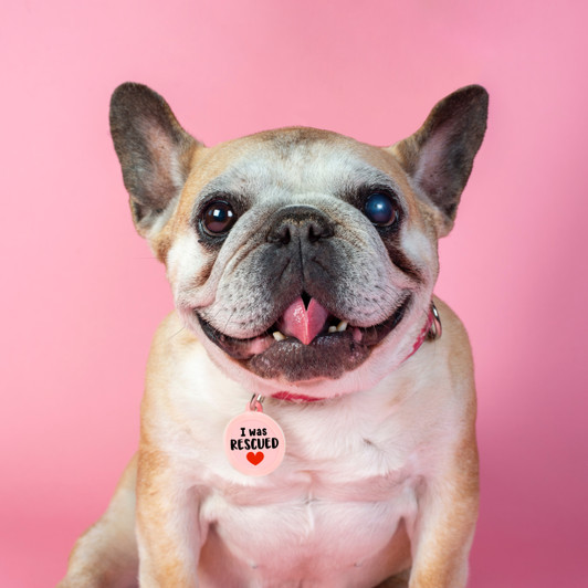 I Was Rescued - Silent Dog Tag