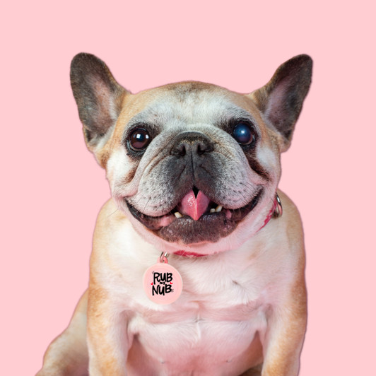 Rub my Nub - Silent Dog Tag