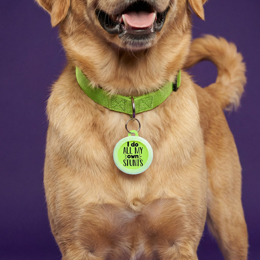 I Do All my Own Stunts - Comfort Dog Tag