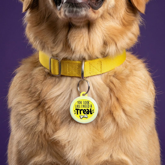I Need a Treat - Comfort Dog Tag
