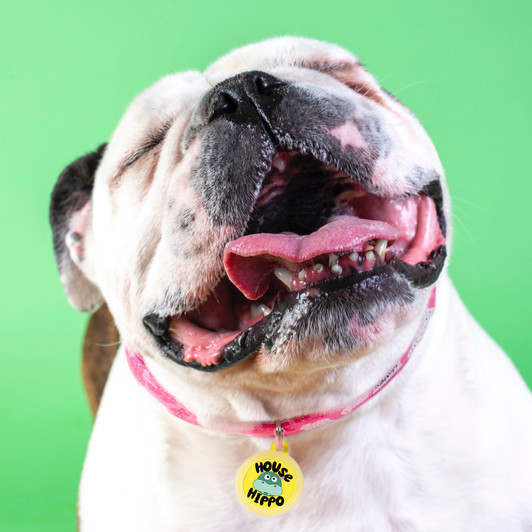 House Hippo - Silent Dog Tag