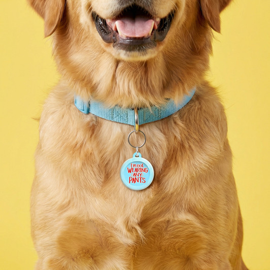 Not Wearing Any Pants - Comfort Dog Tag