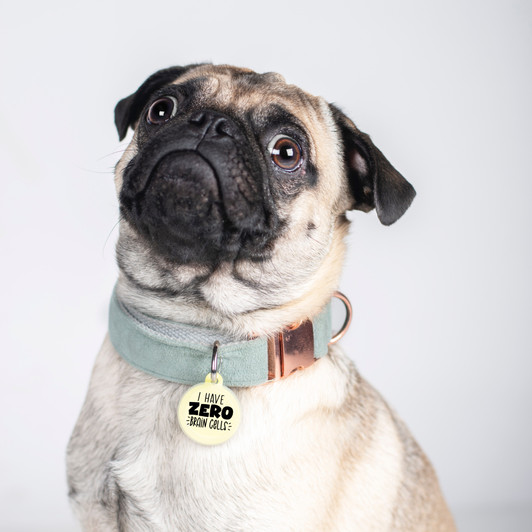 I Have Zero Brain Cells - Silent Dog Tag