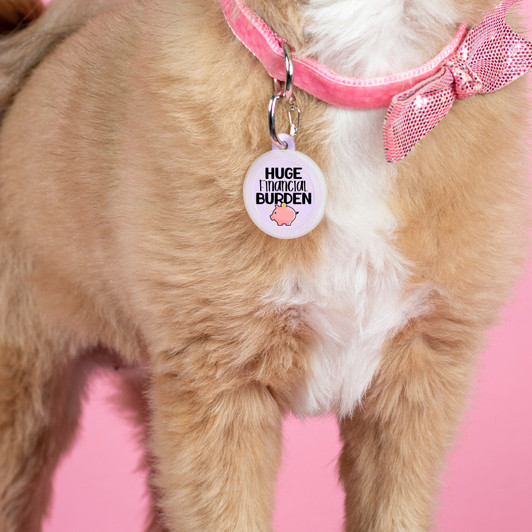 Huge Financial Burden - Silent Dog Tag