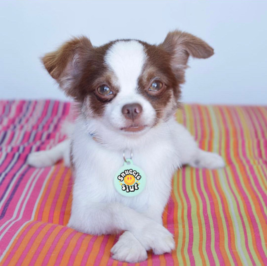 Snuggle Slut Dog Tag - Comfort Dog Tag