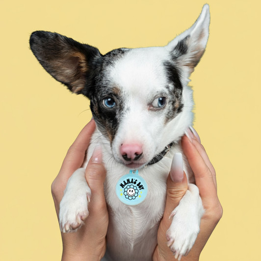 Mama's Boy - Silent Dog Tag