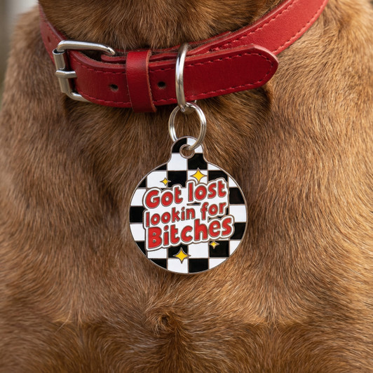 Got Lost Looking for Bitches - Enamel Dog Tag