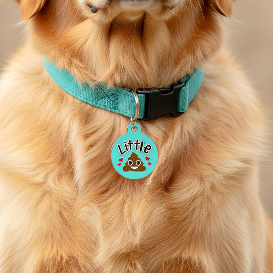 Little Sh*t - Enamel Dog Tag