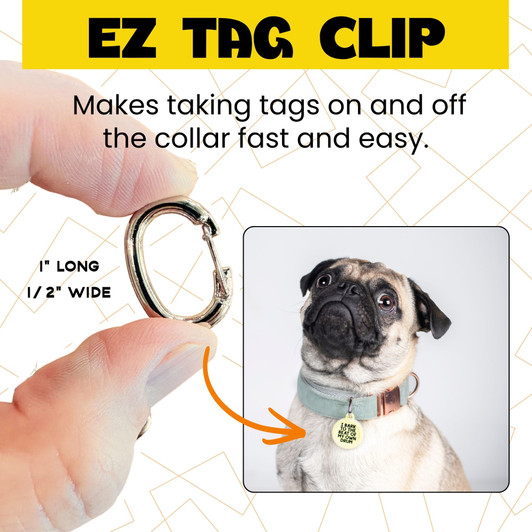 EZ Change Clip - Set of Two