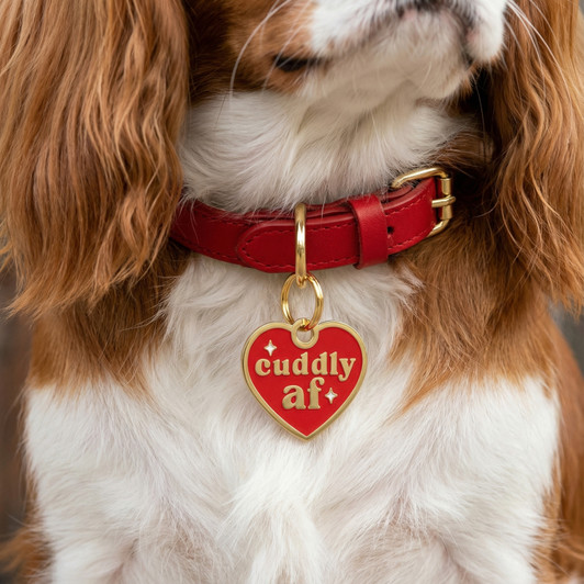 Cuddly AF - Gold Enamel Dog Tag
