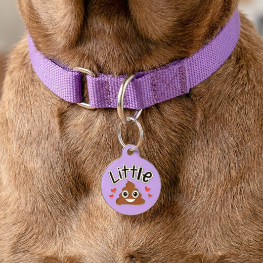 Little Shit - Enamel Dog Tag *Purple New Color Little Shit - Enamel Dog Tag *Purple New Color