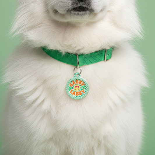 Sassy Lassy - Silent Dog Tag