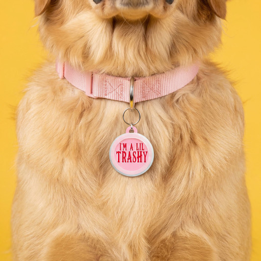 I'm a Lil Trashy - Comfort Dog Tag