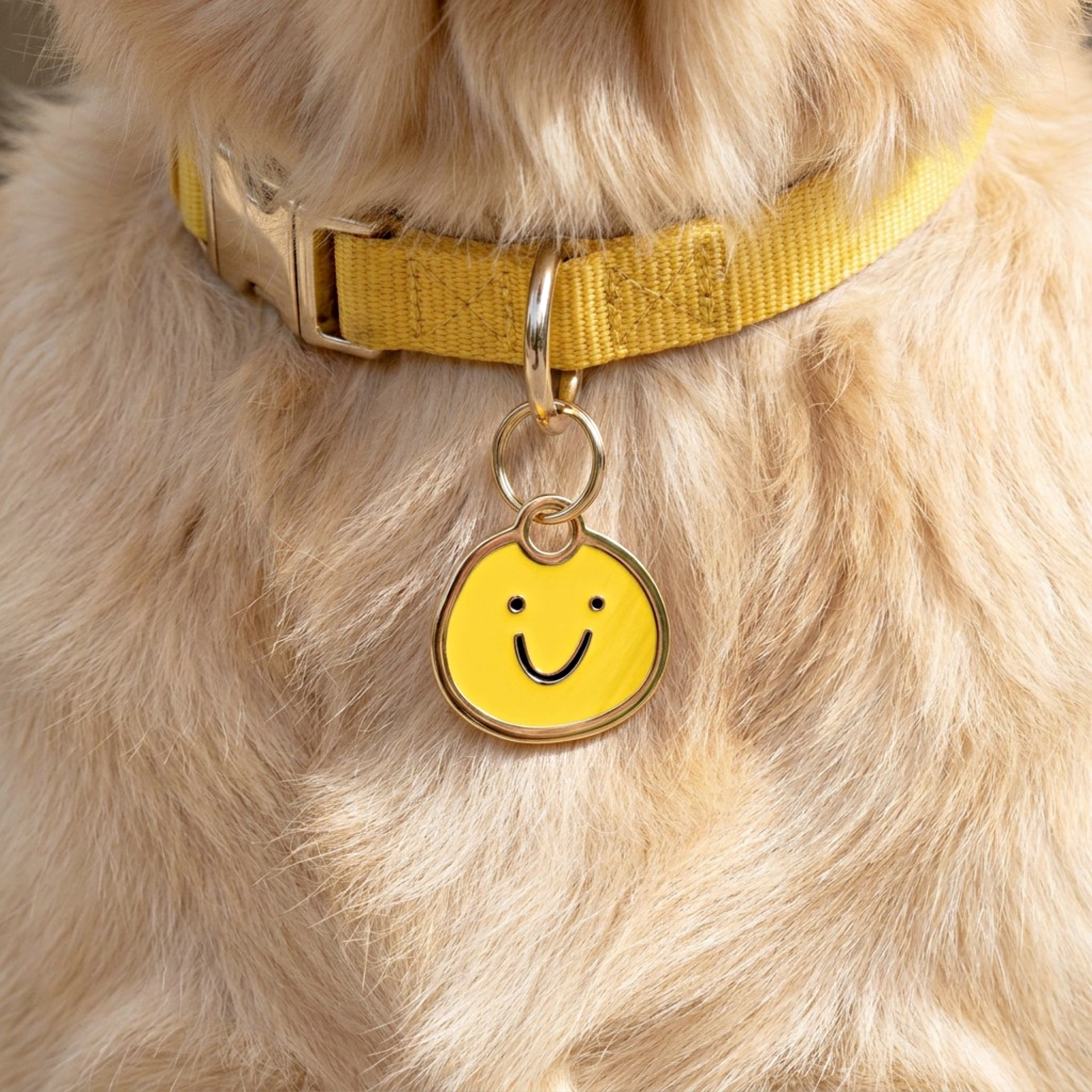 Bad Tags OFFICIAL - Personalized Dog Tags for Sale - Unique Pet ID