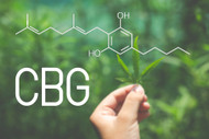 Cannabinoid Spotlight: CBG