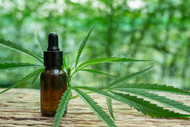 CBD Deemed Safe for Mainstream Retail in Recent Canadian Study