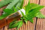 Study Finds Hemp Extracts Safe for Long-Term Use