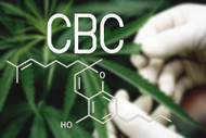 Cannabinoid Spotlight: CBC