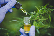 New Study Supports Safety of CBD