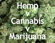 Hemp v. Cannabis v. Marijuana