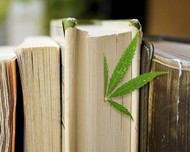 Hemp Paper: The Future of Printing