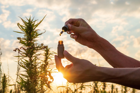CBN, CBG, and Beyond: Exploring the Lesser-Known Cannabinoids