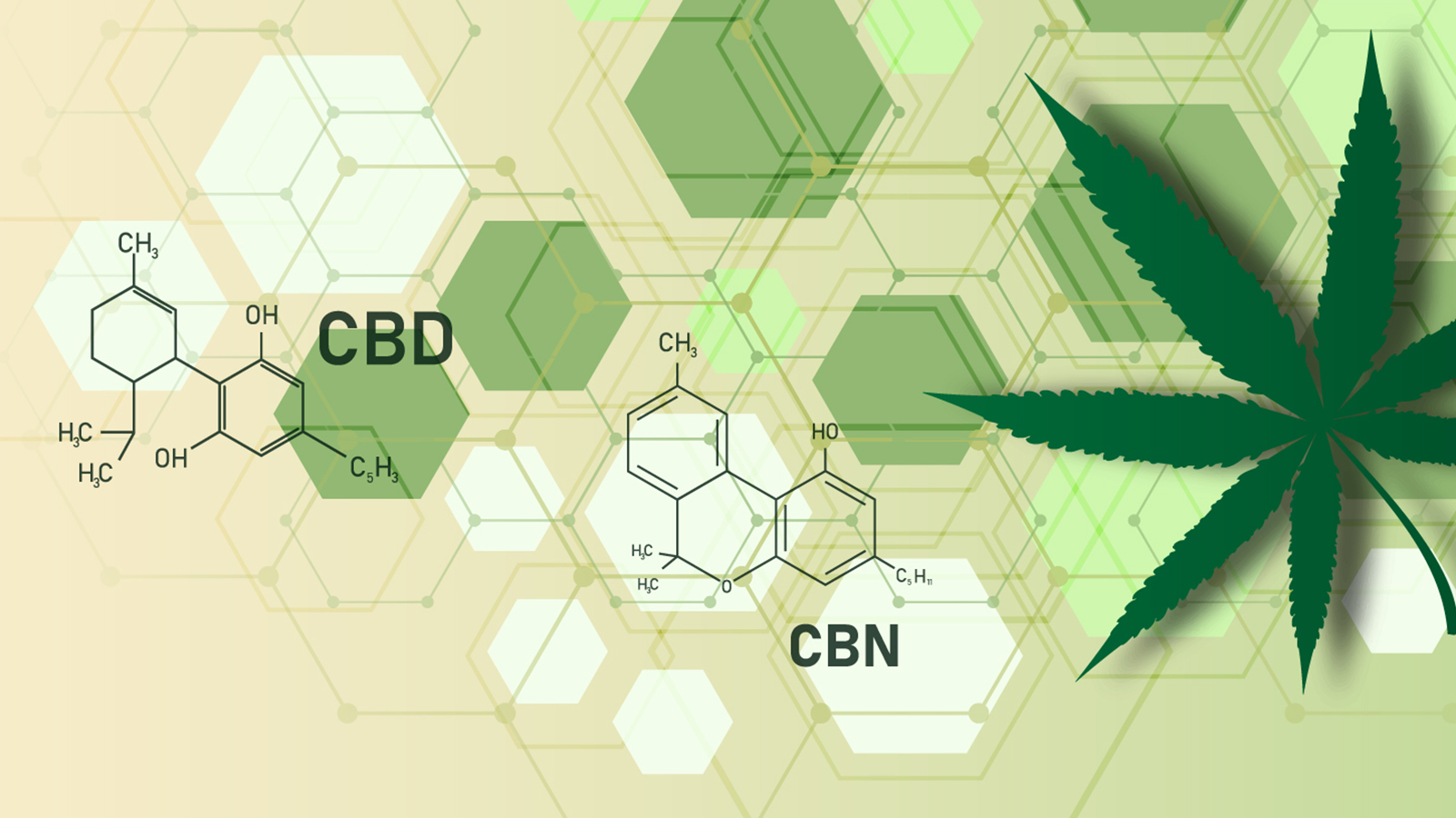 A Complete Guide to CBD vs. CBG vs. CBN