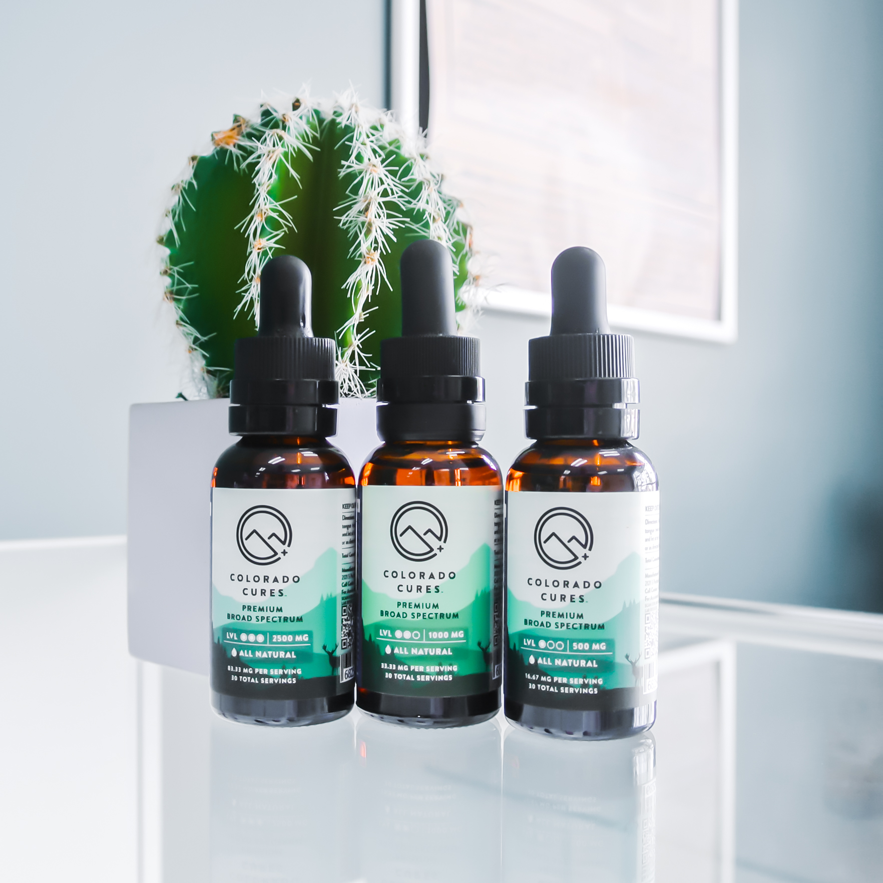 Can You Cook With CBD? How to Add Tinctures to Coffee, Tea and Holiday Recipes