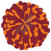 Pom Pom - Burgundy and Orange - Style A - Yard Card