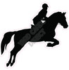 Silhouette - Horse Rider - Style F - Yard Card