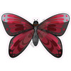 Butterfly - Burgundy - Style A - Yard Card