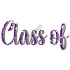 Statement - Class Of - Chunky Glitter Purple - Style A - Yard Card
