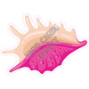 Seashell - Hot Pink - Style J - Yard Card