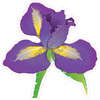 Iris - Chunky Glitter Purple - Style A - Yard Card