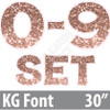 KG 30" 13pc 0-9 - Set - Chunky Glitter Rose Gold - Yard Cards