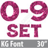 KG 30" 13pc 0-9 - Set - Large Sequin Hot Pink - Yard Cards