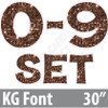 KG 30" 13pc 0-9 - Set - Large Sequin Brown - Yard Cards