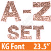 KG 23.5" 26pc A-Z - Set - Chunky Glitter Rose Gold - Yard Cards