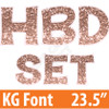 KG 23.5" 14pc HBD - Set - Chunky Glitter Rose Gold - Yard Cards