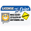 Drivers License - Medium Blue - Style A - Yard Card