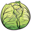 Cabbage - Style A - Yard Card